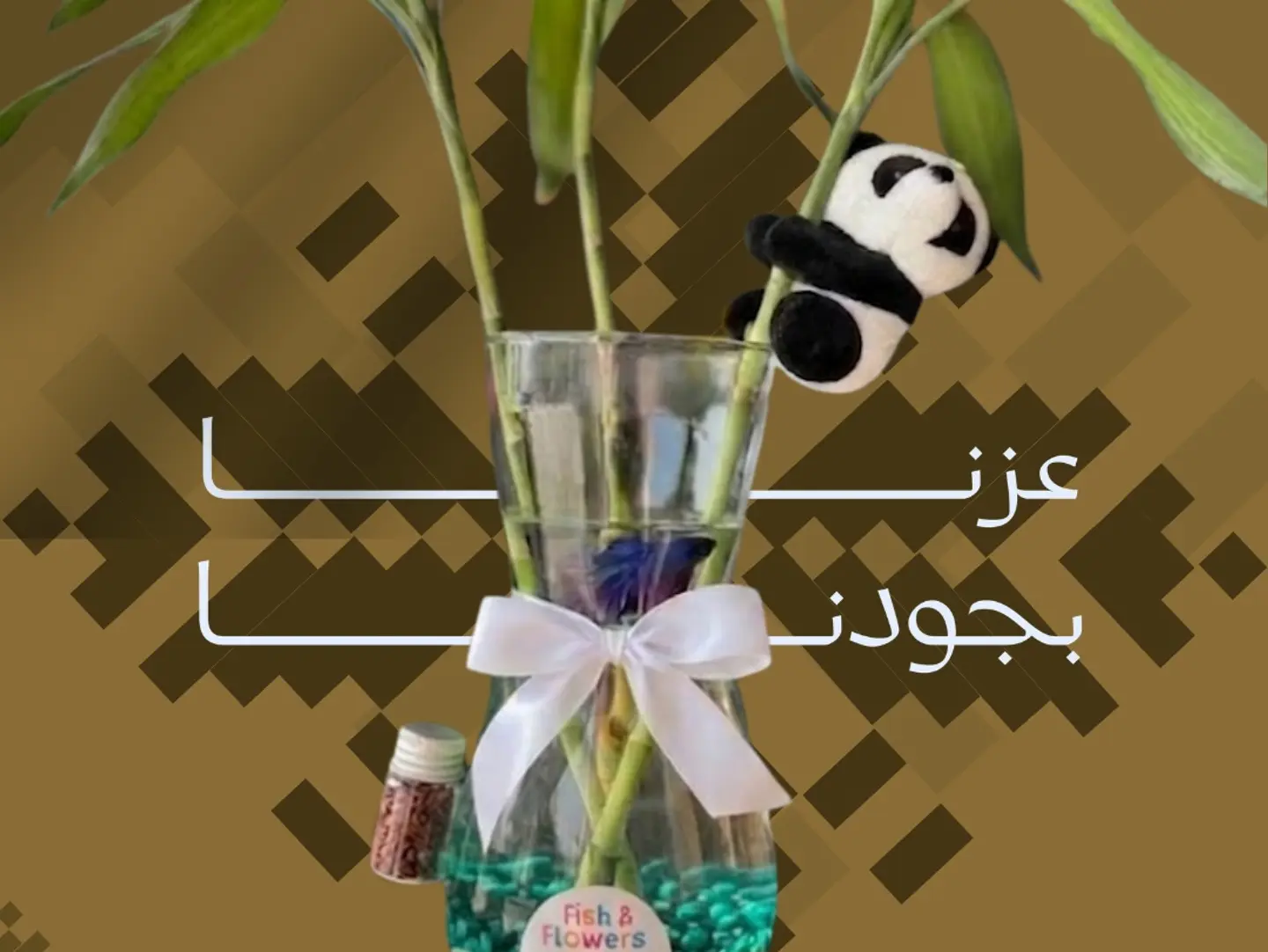 Betta Fish Vase With Bamboo Stalks