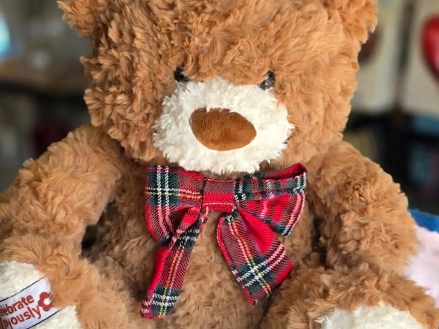 Teddy Bear