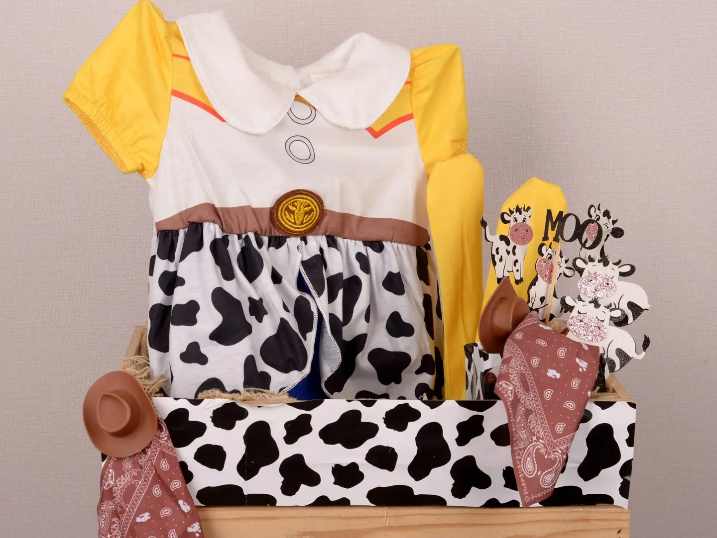 Toy Story Gift