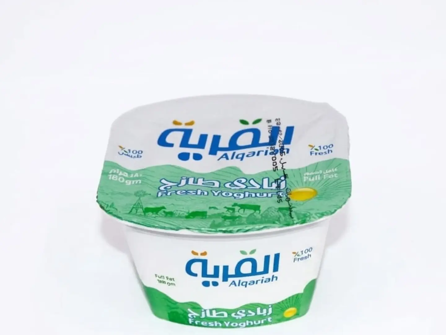 Village Yogurt