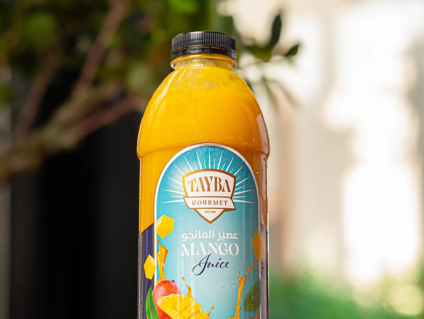 Mango Liter