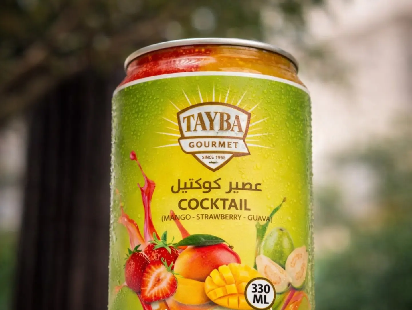 Tayba Coctail Can