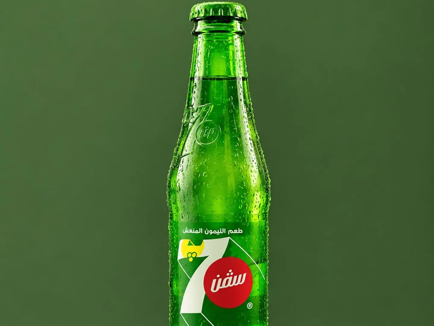 سفن اب