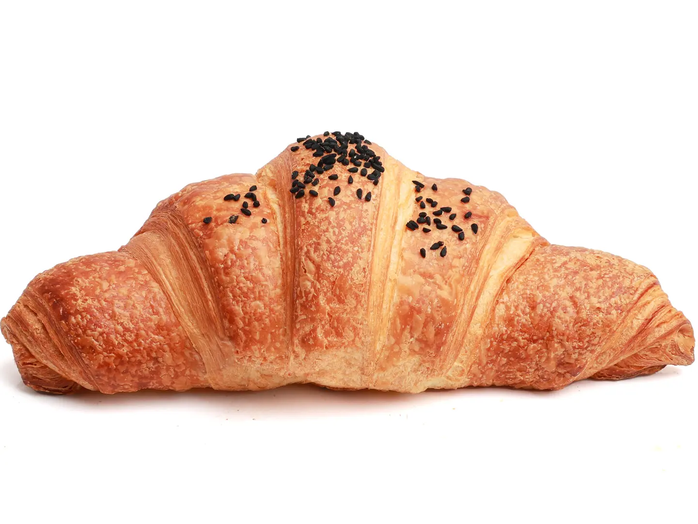 Yellow Cheese Croissant