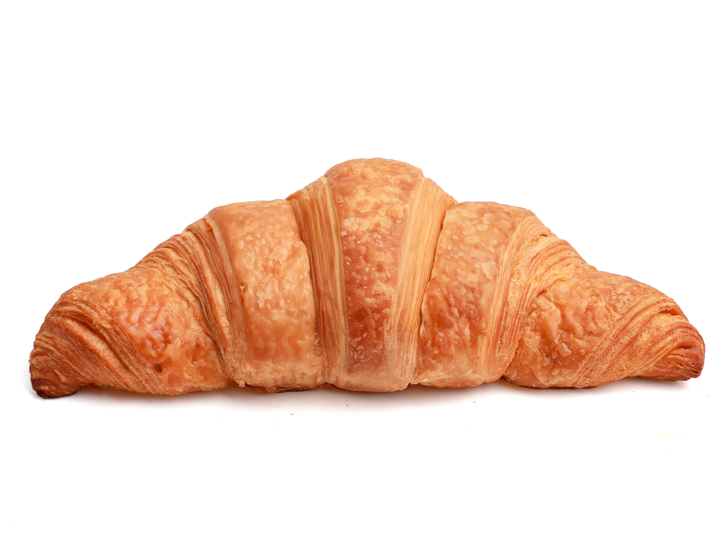 Plain Croissant