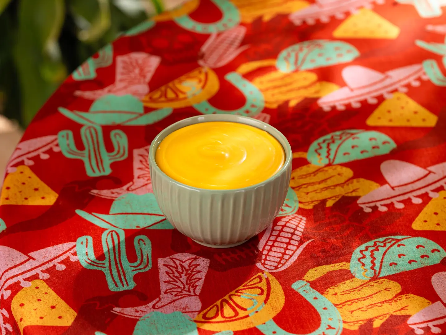 Cheddar Cheese