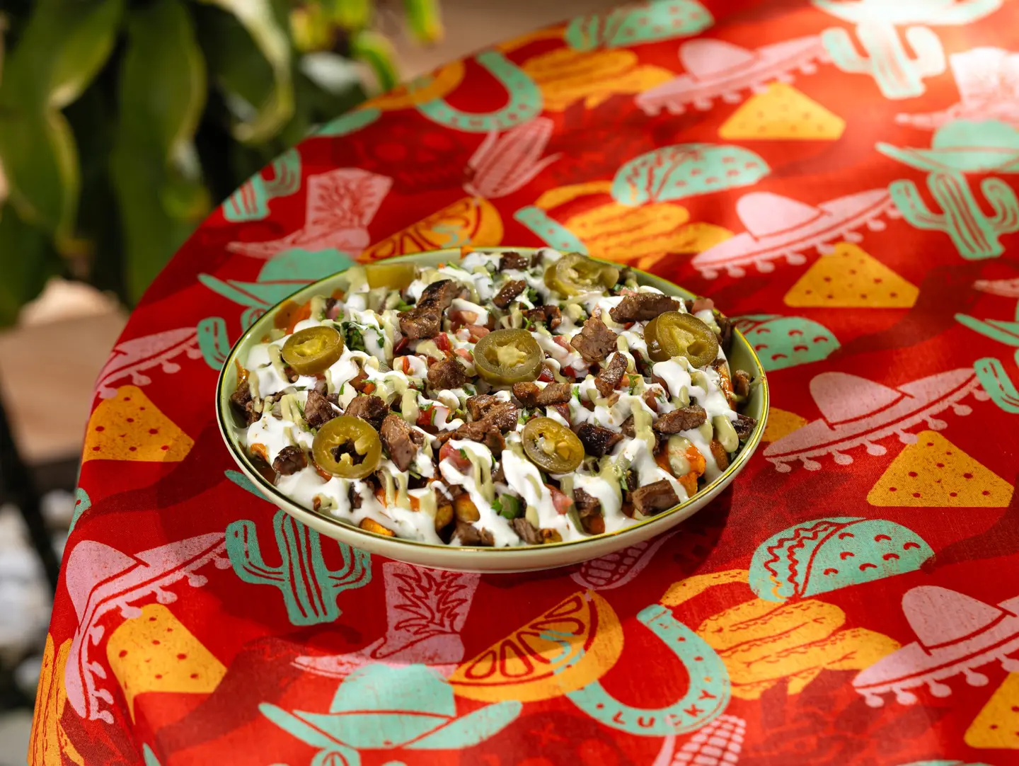 Tacoson Fries (Carne Asada)