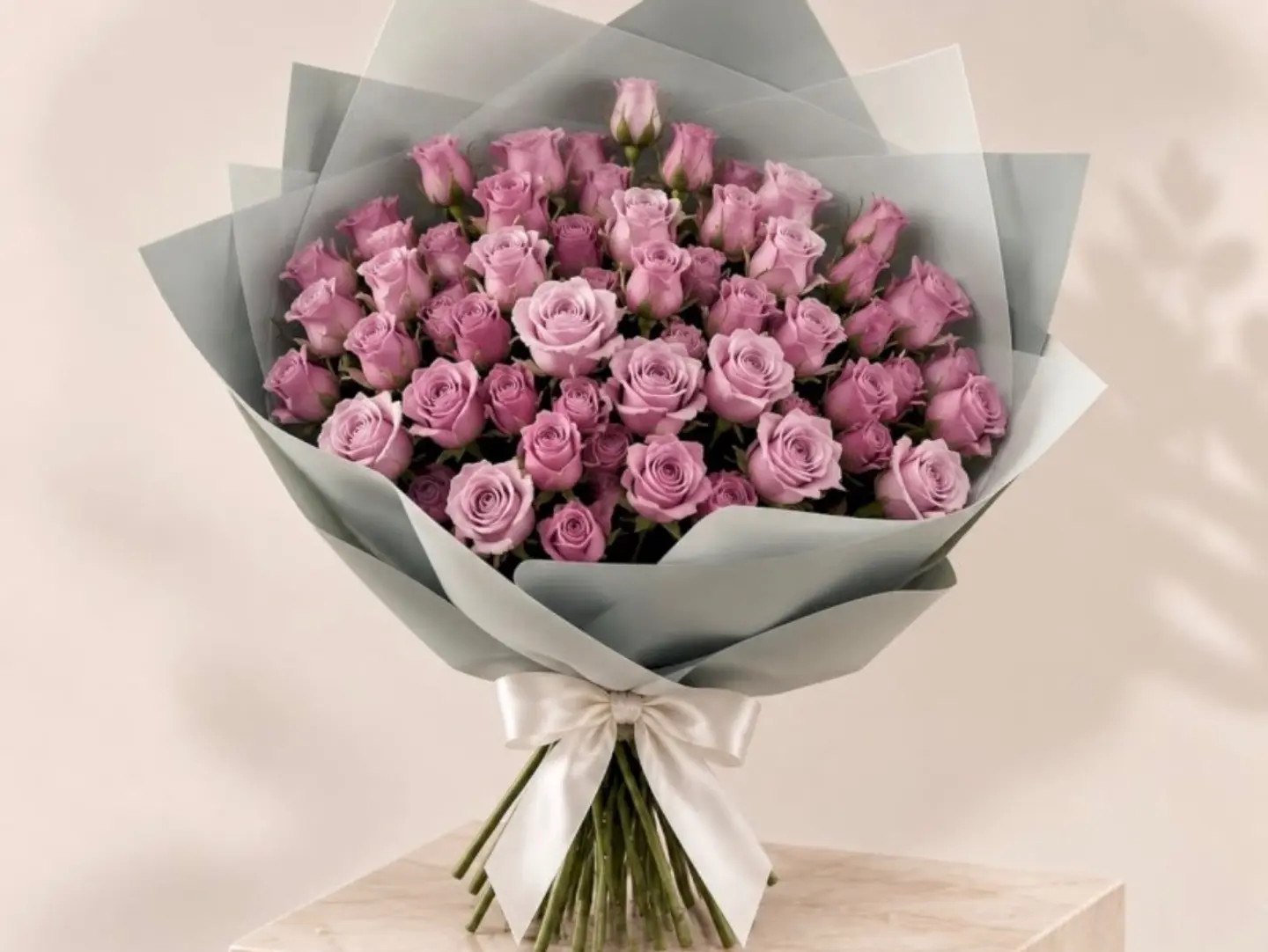سنا الغروب