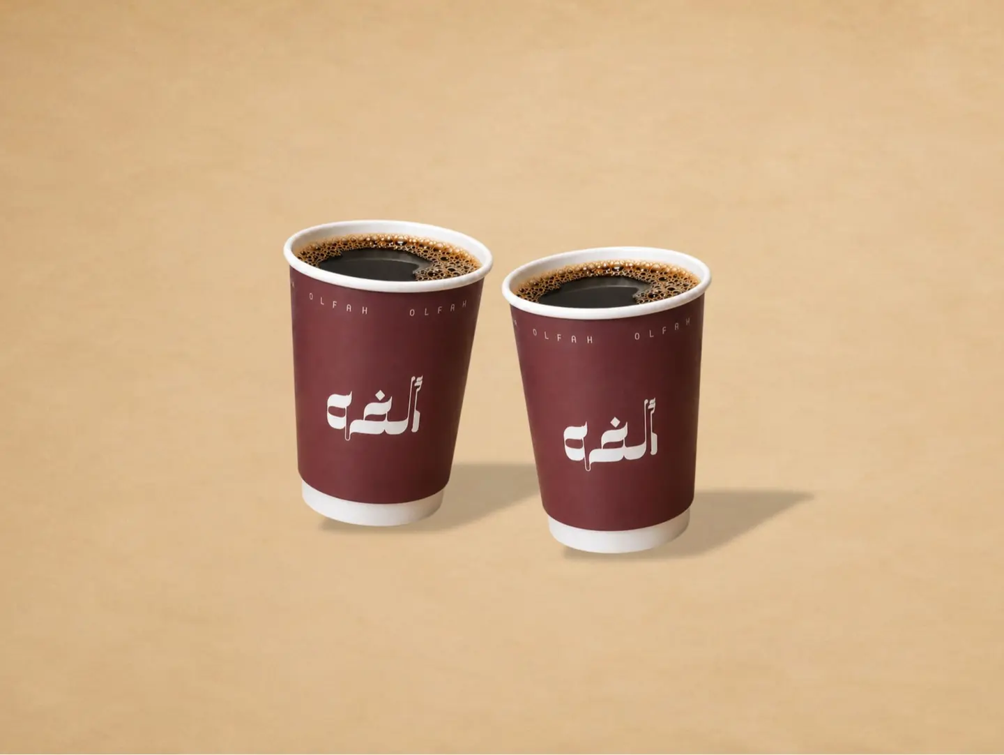 V60 (2 Pcs)