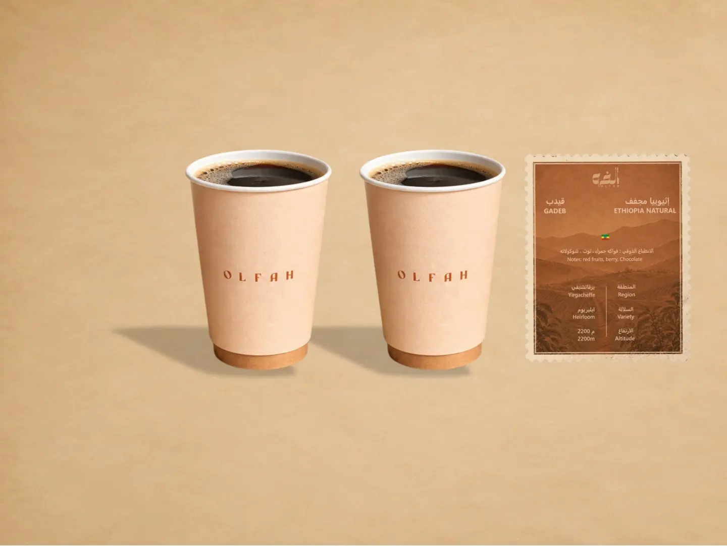 V60 (2 Pcs)