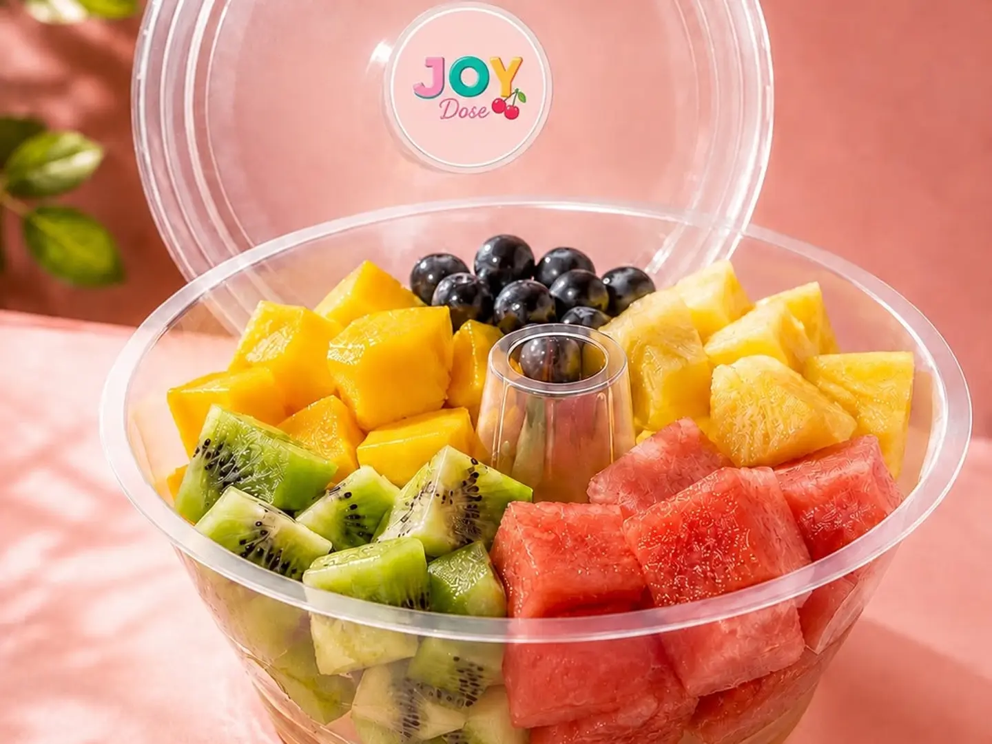 Plain Fruit Salad - Medium Size (300 Grams)