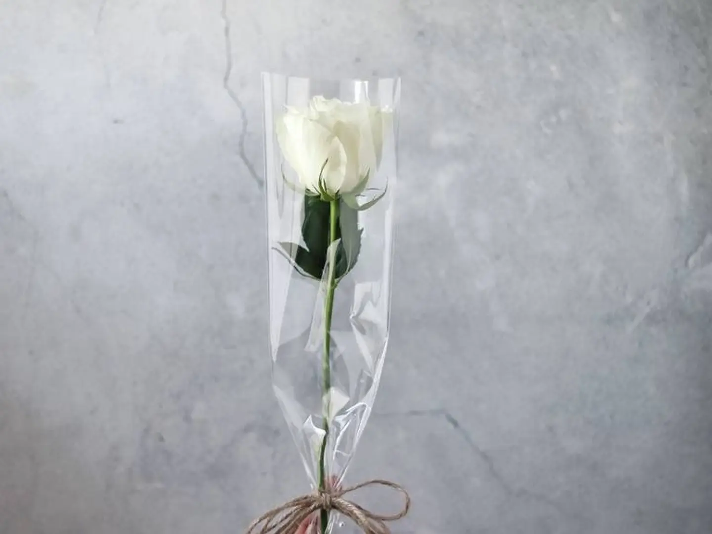 Rose White