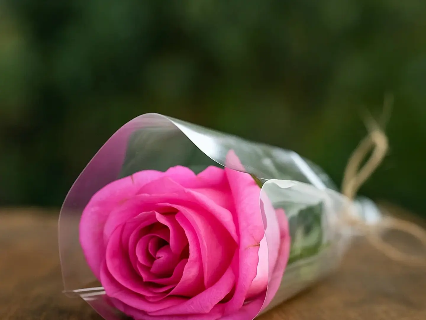 Rose Pink