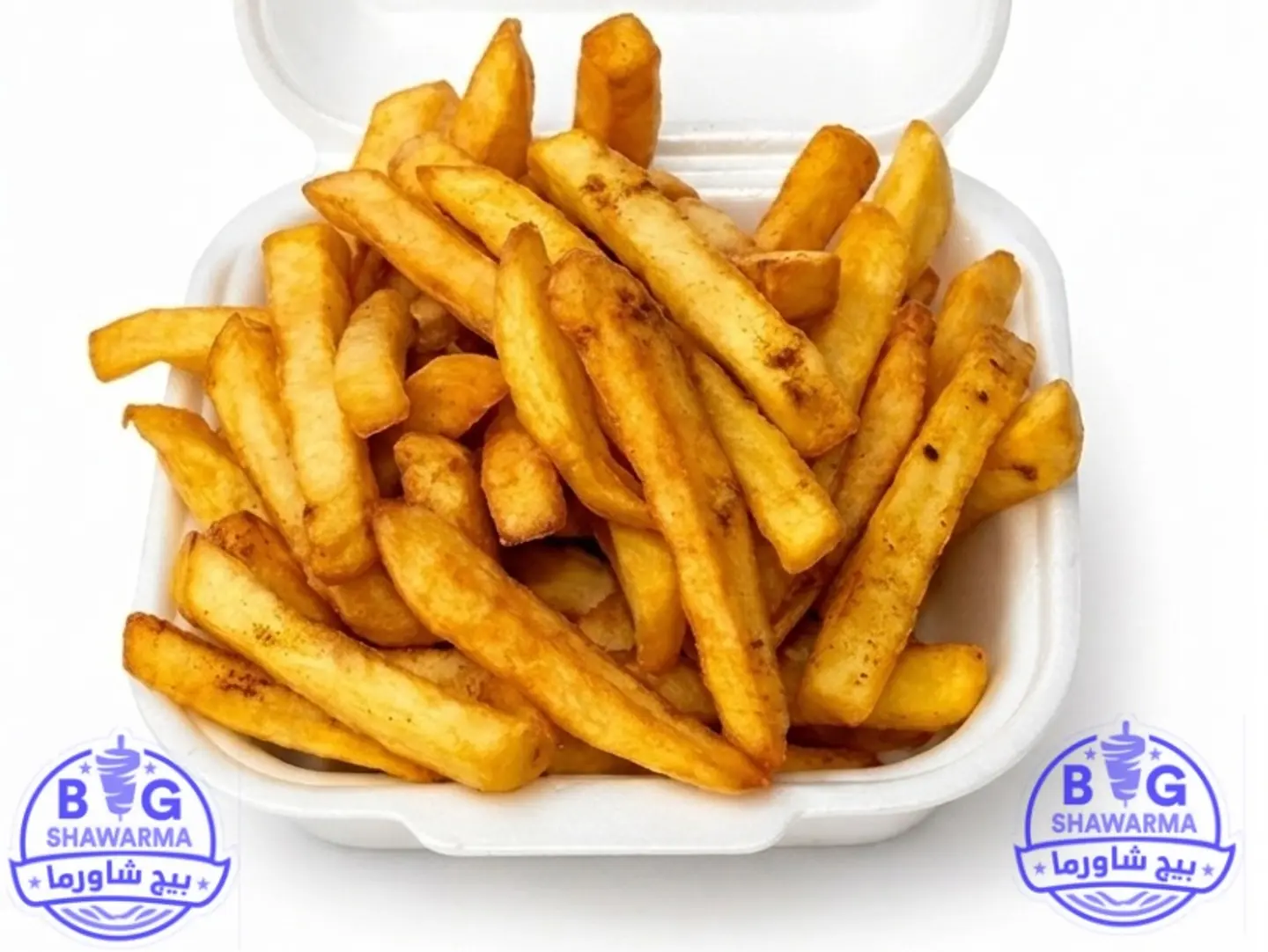 Regular Fries Plate