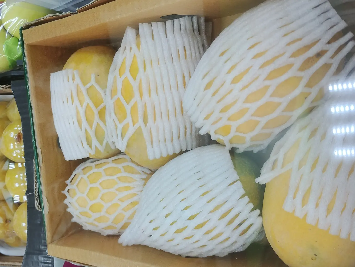 كرتون مانجو