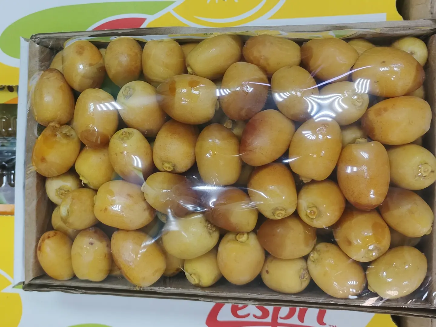 ام رحيم