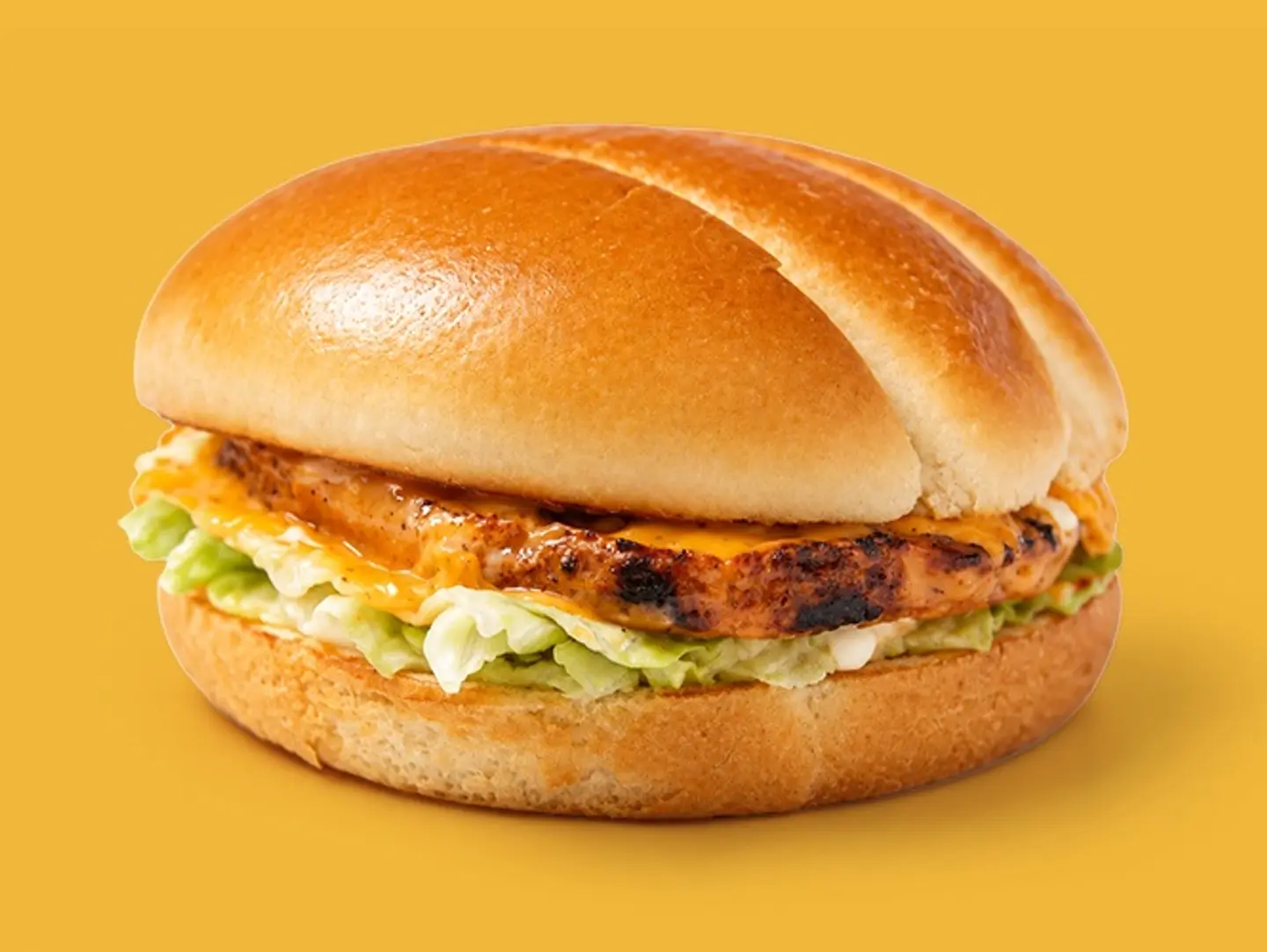 Chicken Burger Sandwich