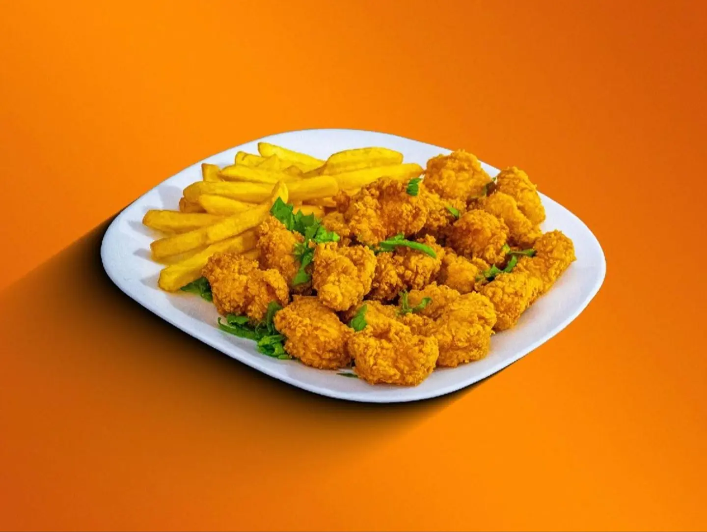 Fried Fish Fillet Plate - Small
