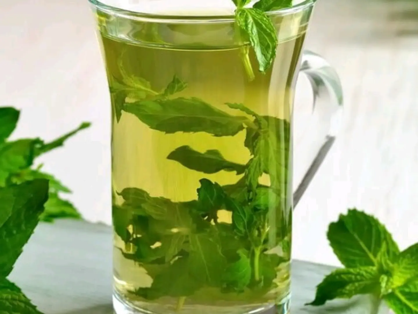 نعناع