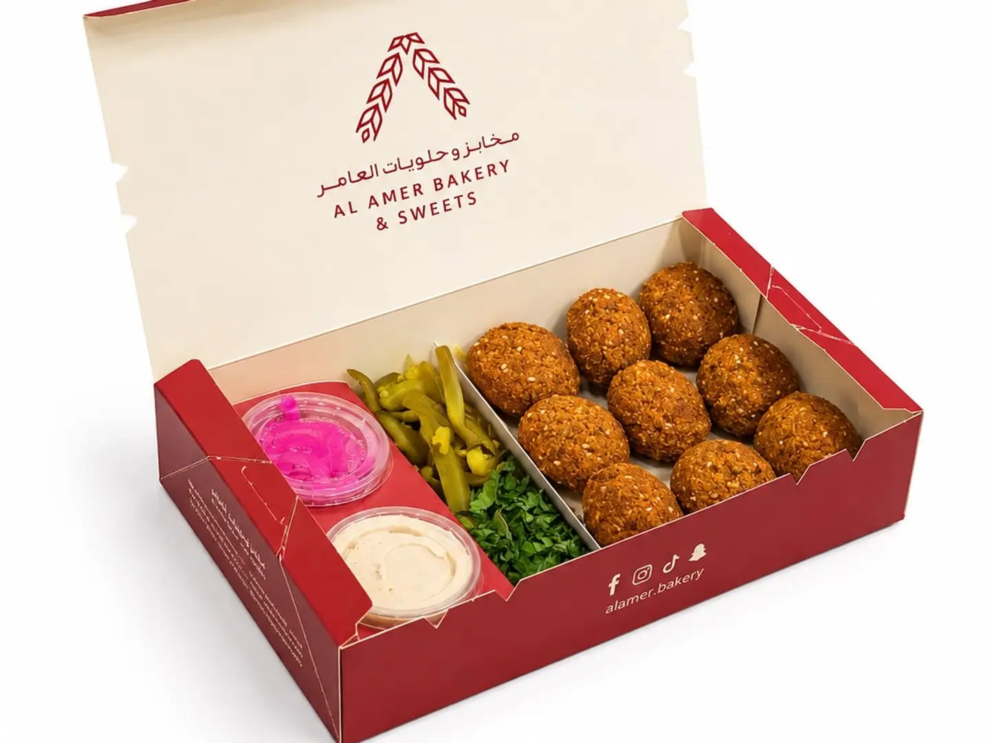 Falafel Regular Dish