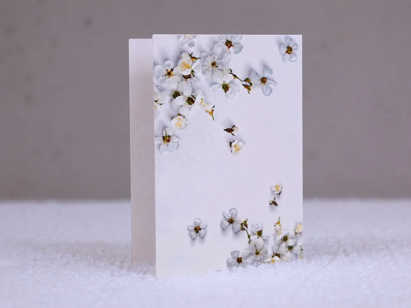 All Occasion Card
