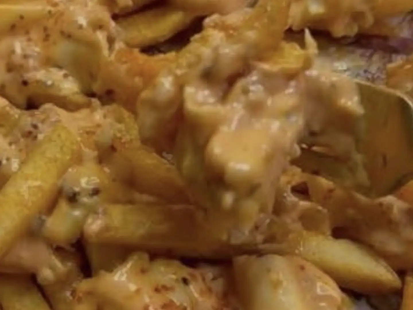 Fries Plate Mix Cheese