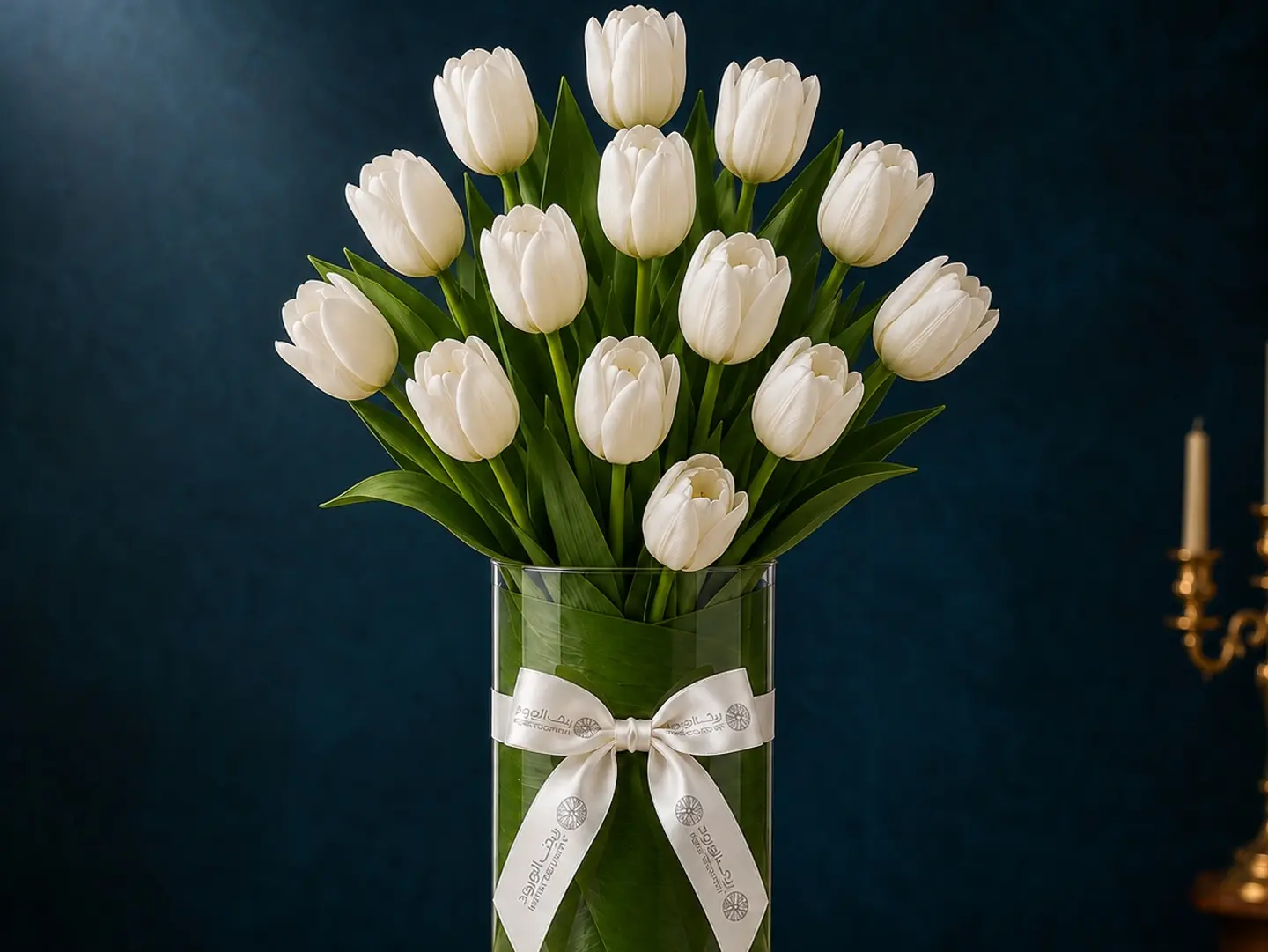 White Tulip Dream