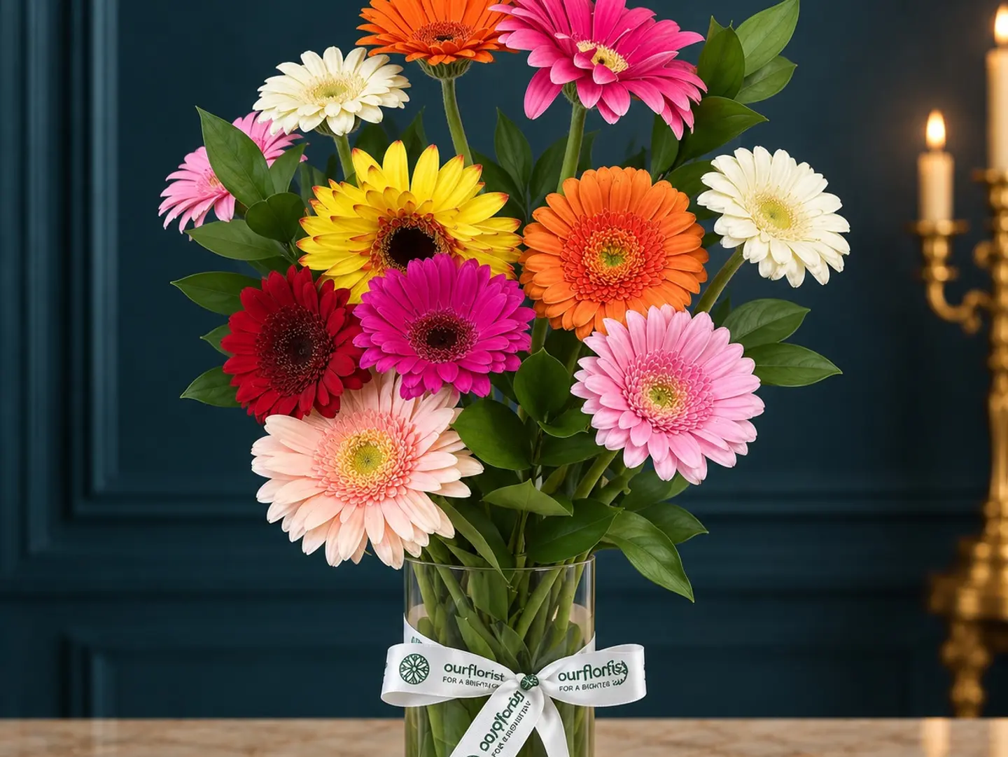 Gerbera Delight