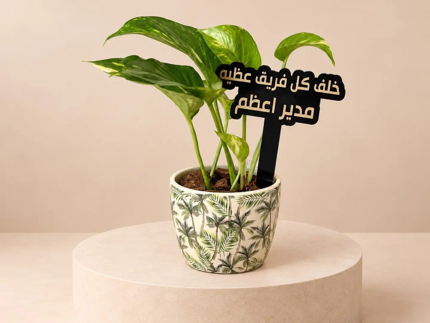 نبتة المدير الملهم