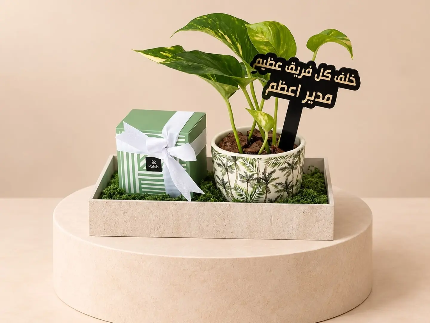 هدية المدير نبتة البوتس وشوكولاتة باتشي