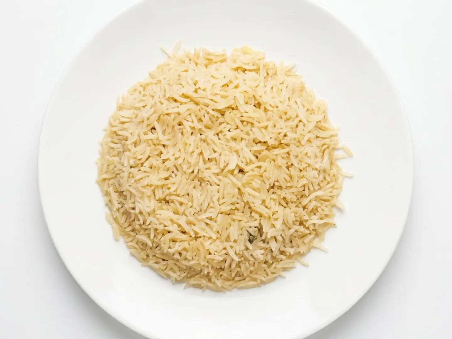 Rice Dish