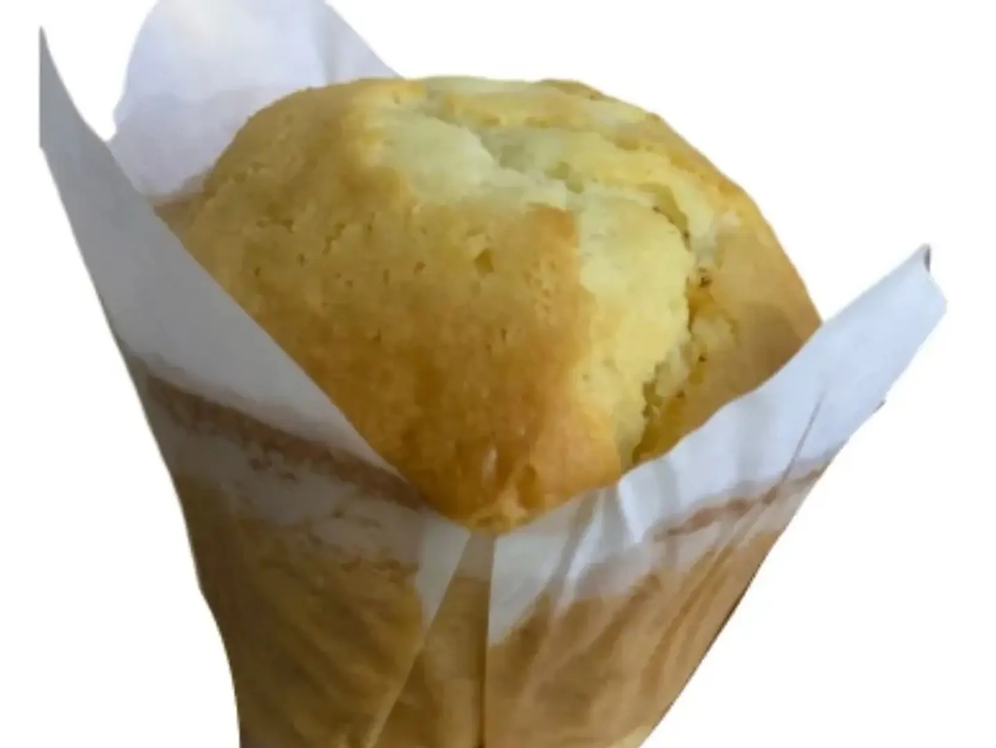 Vanilla Muffin