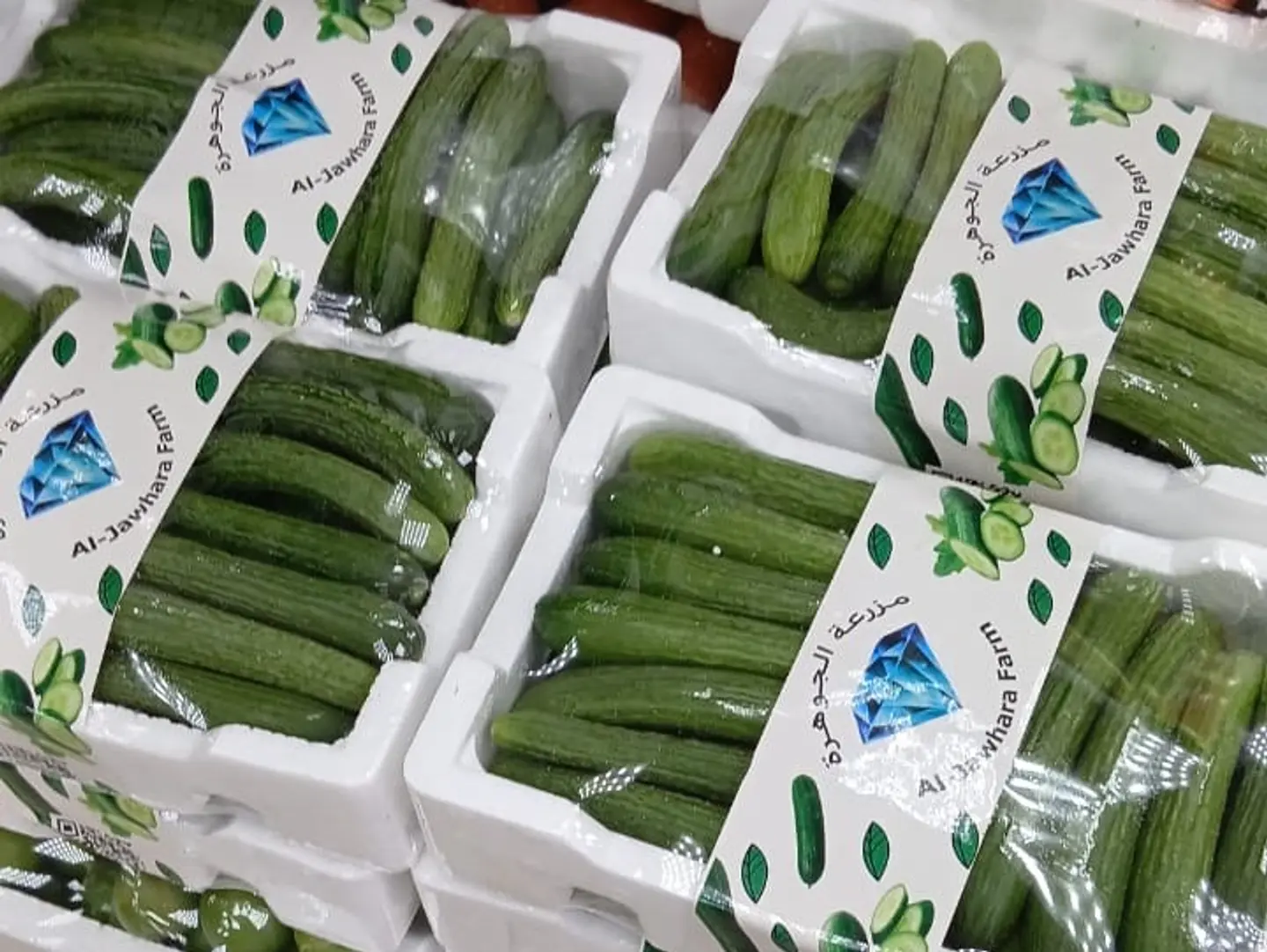 خيار بيبي صغير فلين