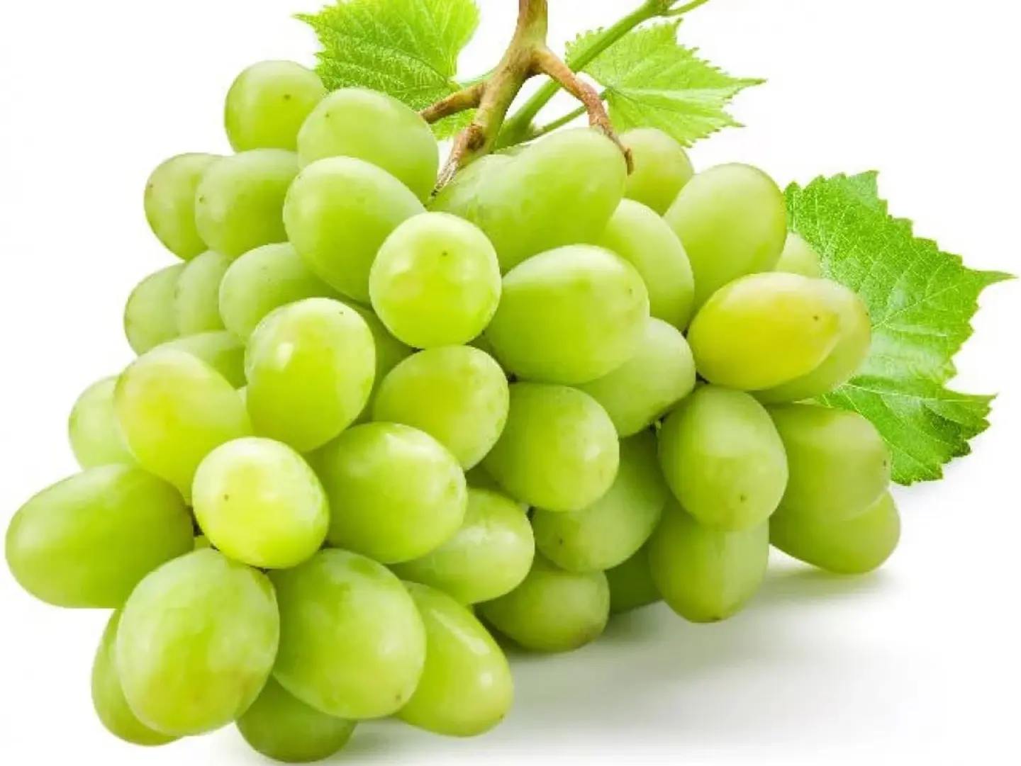 عنب اخضر نص كيلو