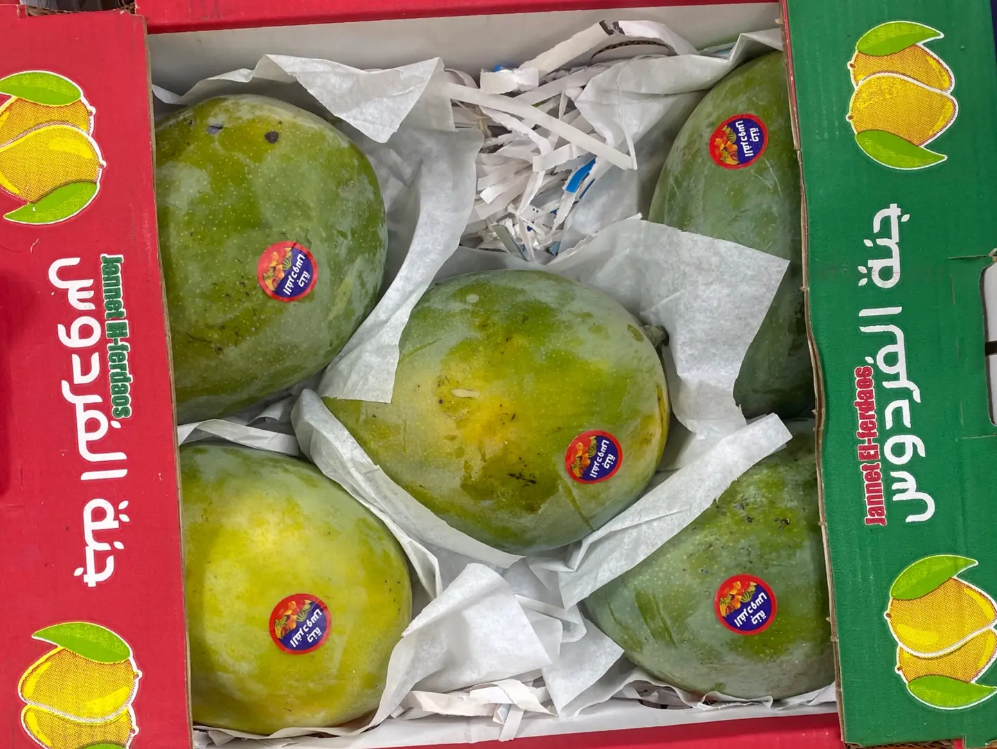 Mango