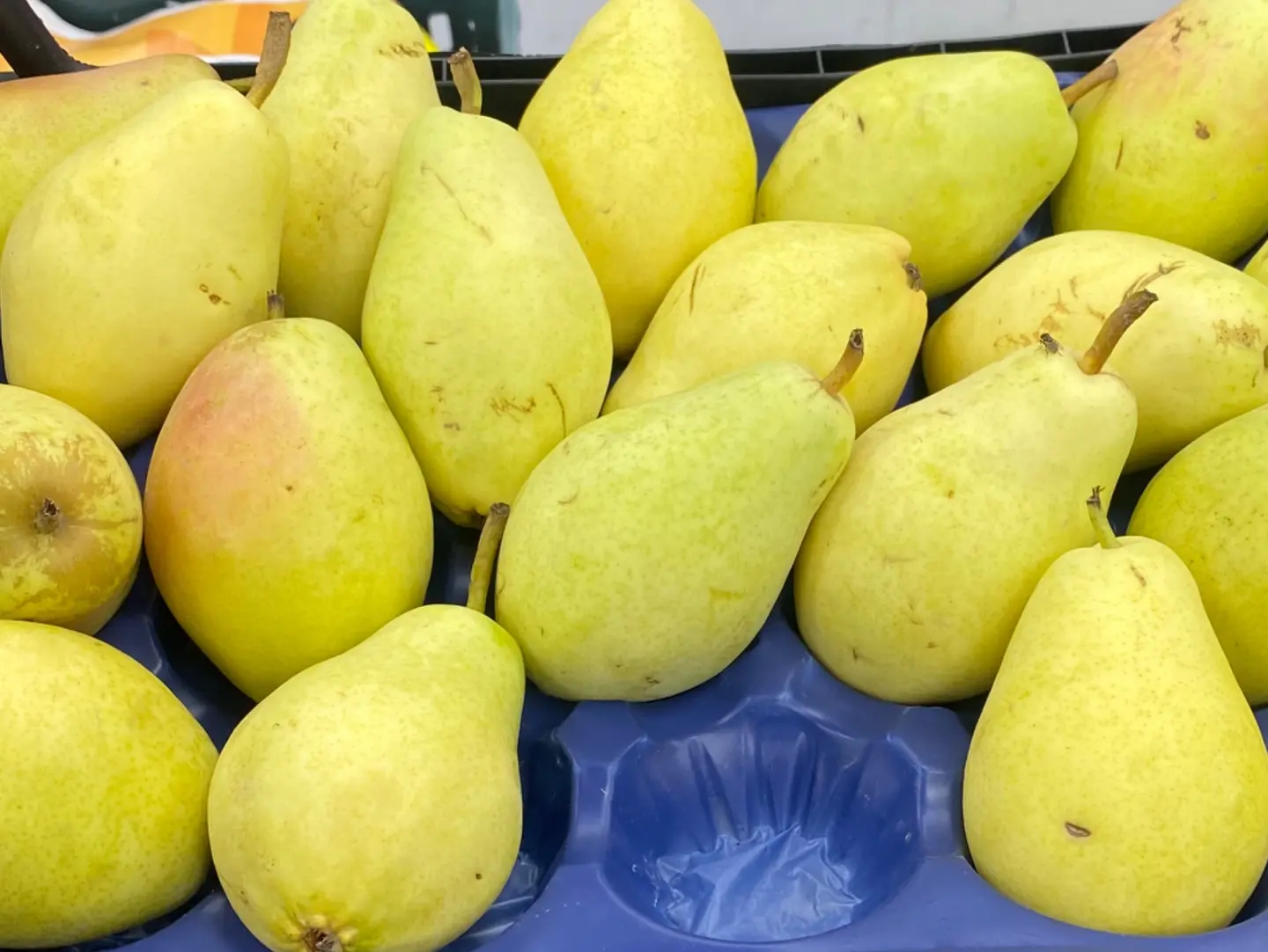 Pears1