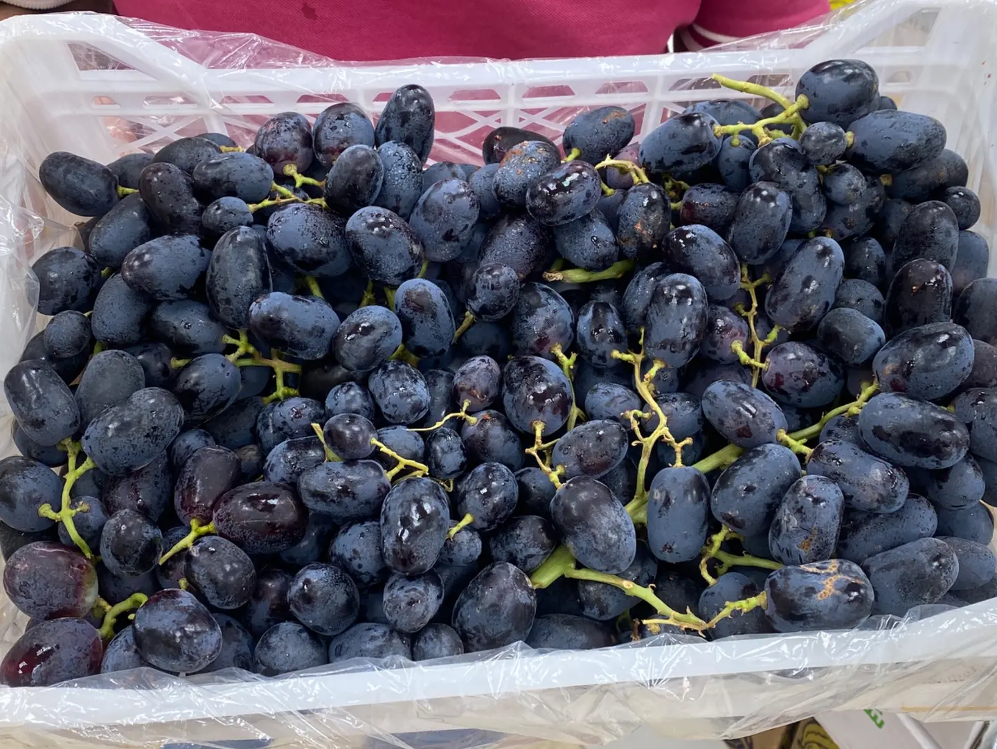 Red Grapes
