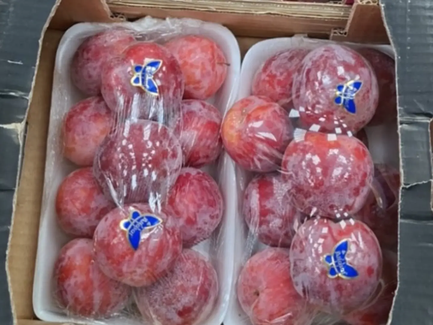 غوجه احمر تركي صحن