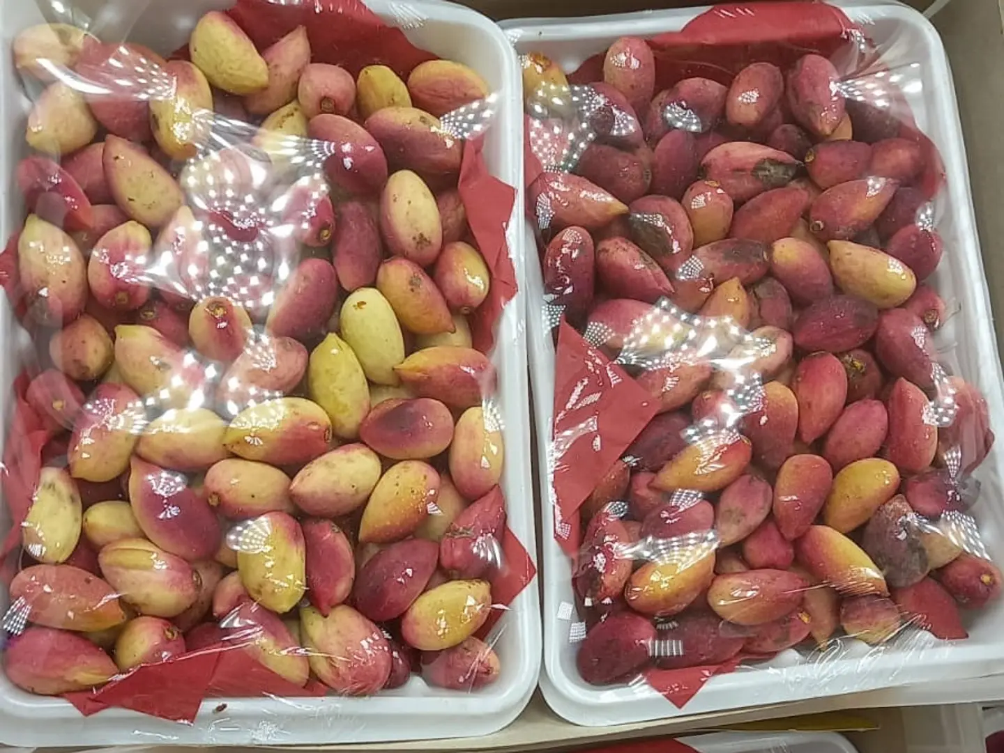 فستق سوري صحن