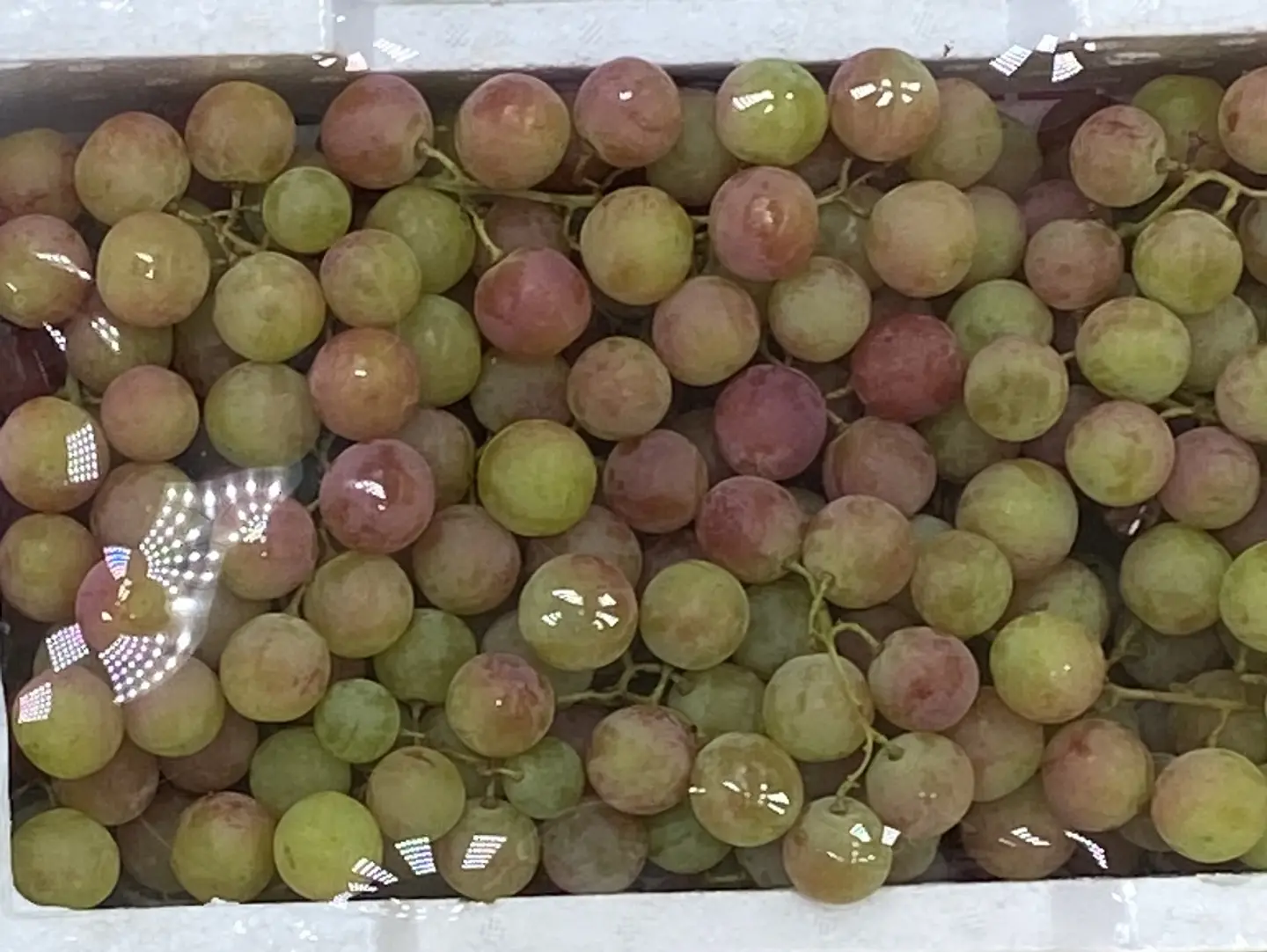 عنب المدينه فلين