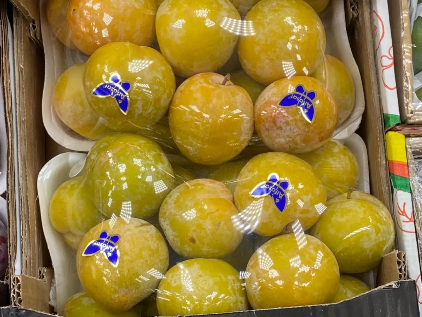 غوجه اصفر تركي صحن