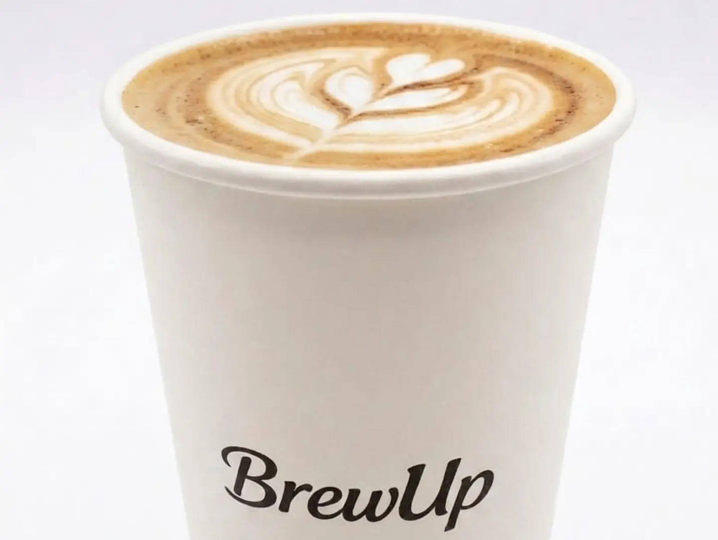 Hot Latte
