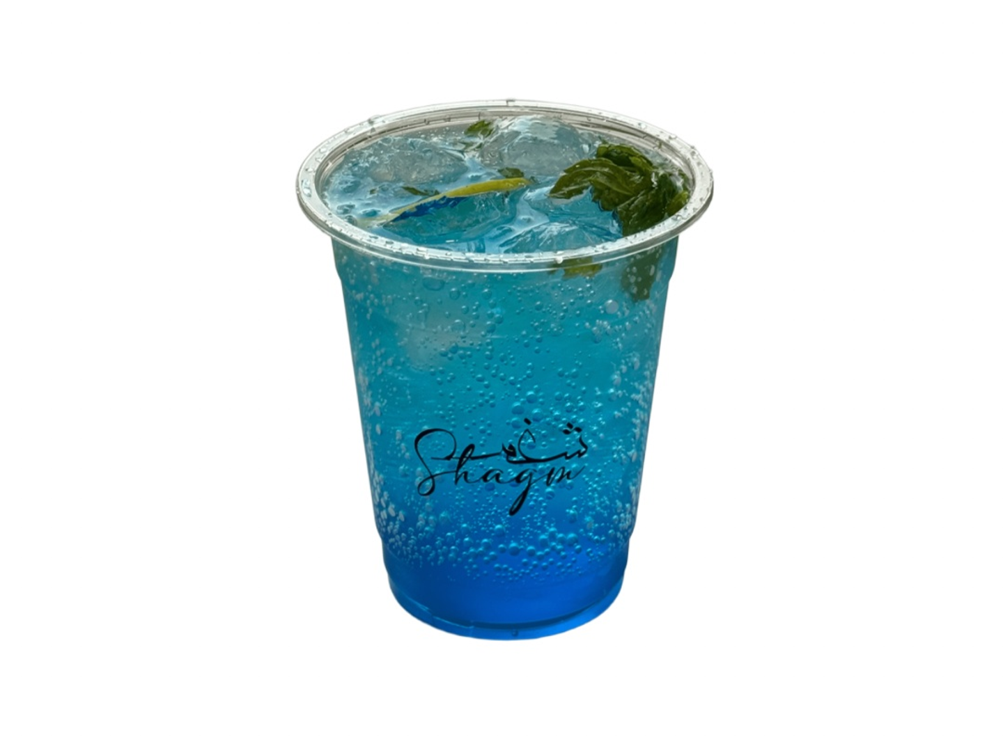 Blueberry Mojito