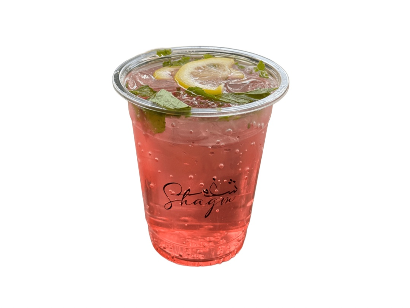 Watermelon Mojito