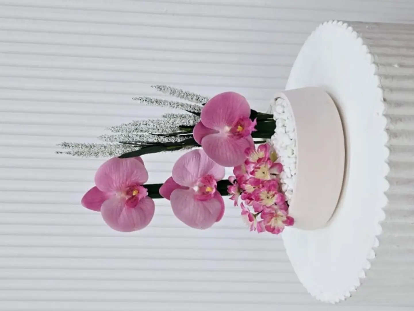 Orchid