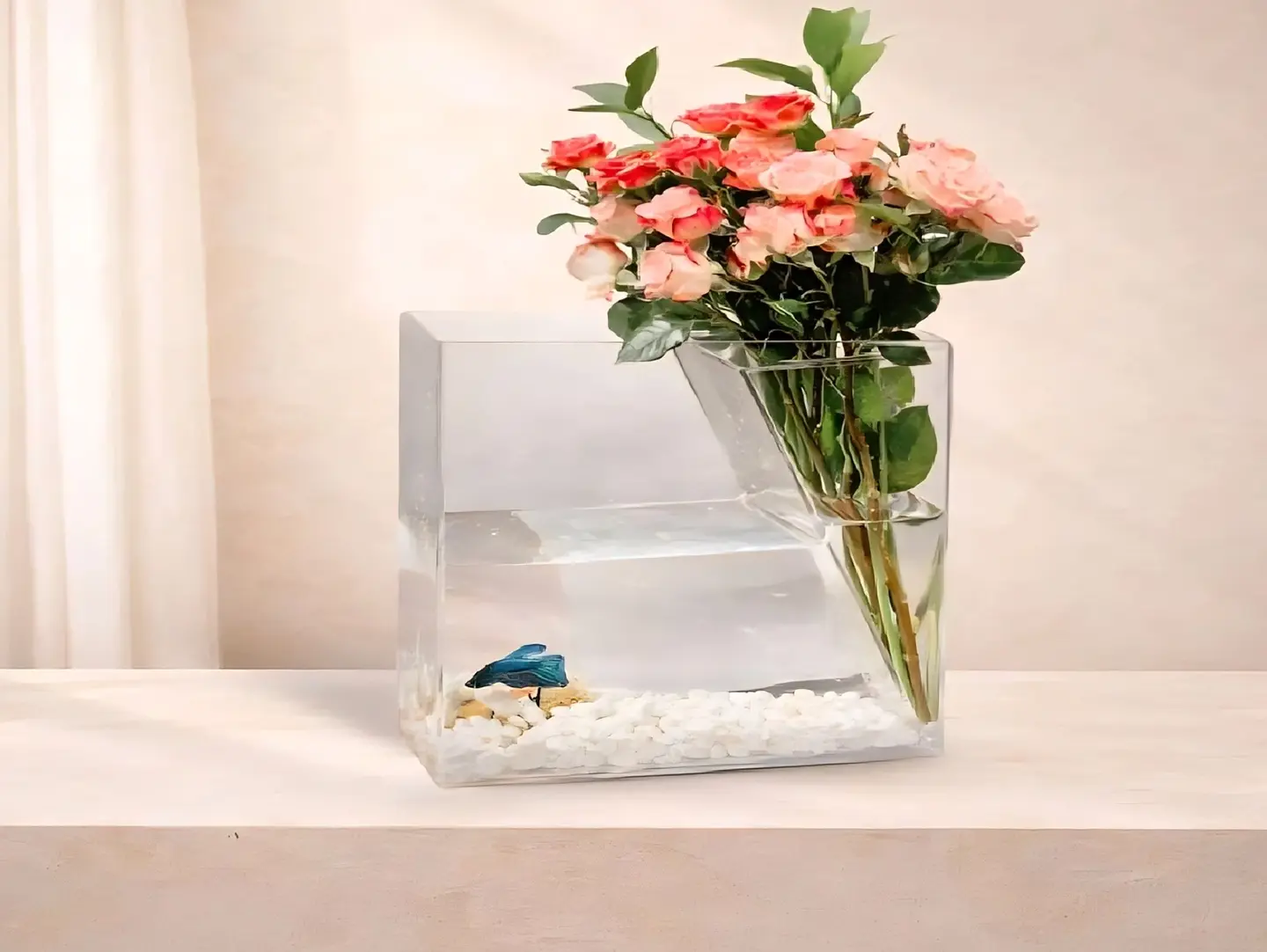 Betta Fish