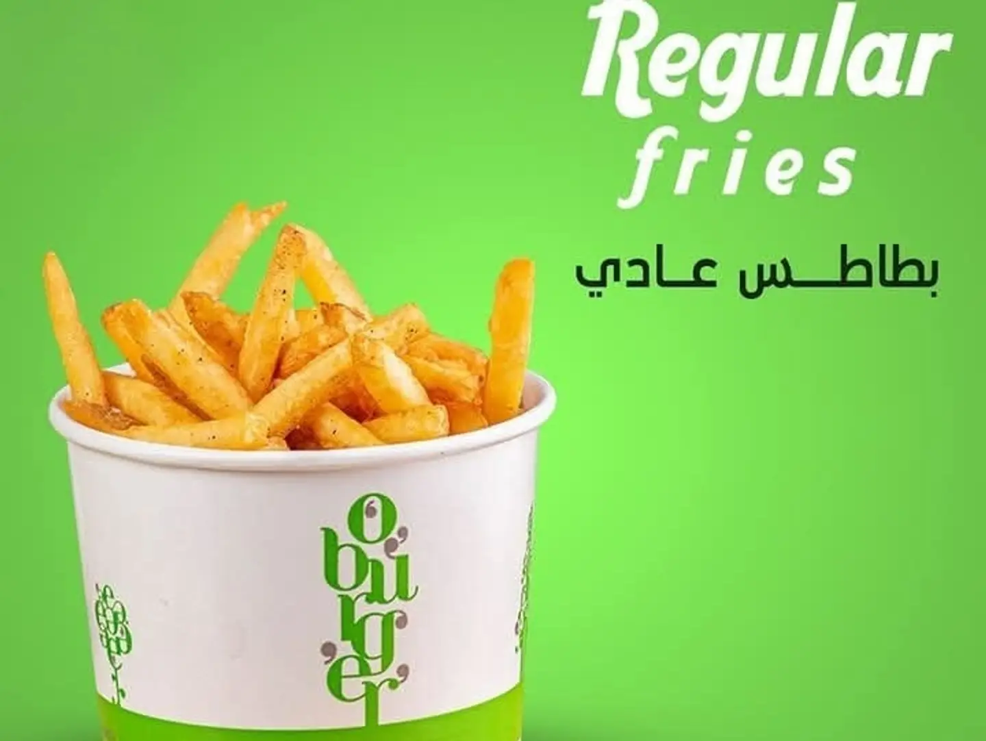 Regular Fries