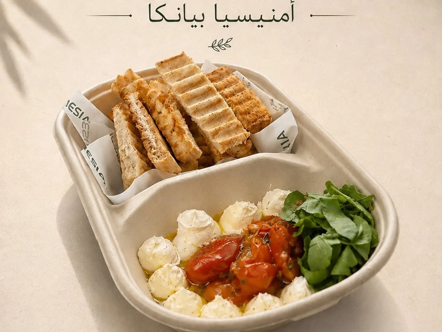 امنيسيا بيانكا