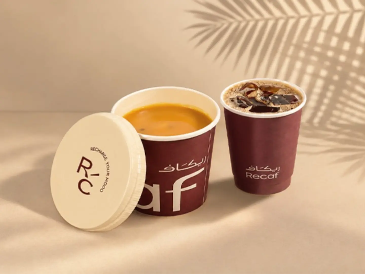 Mango Offer