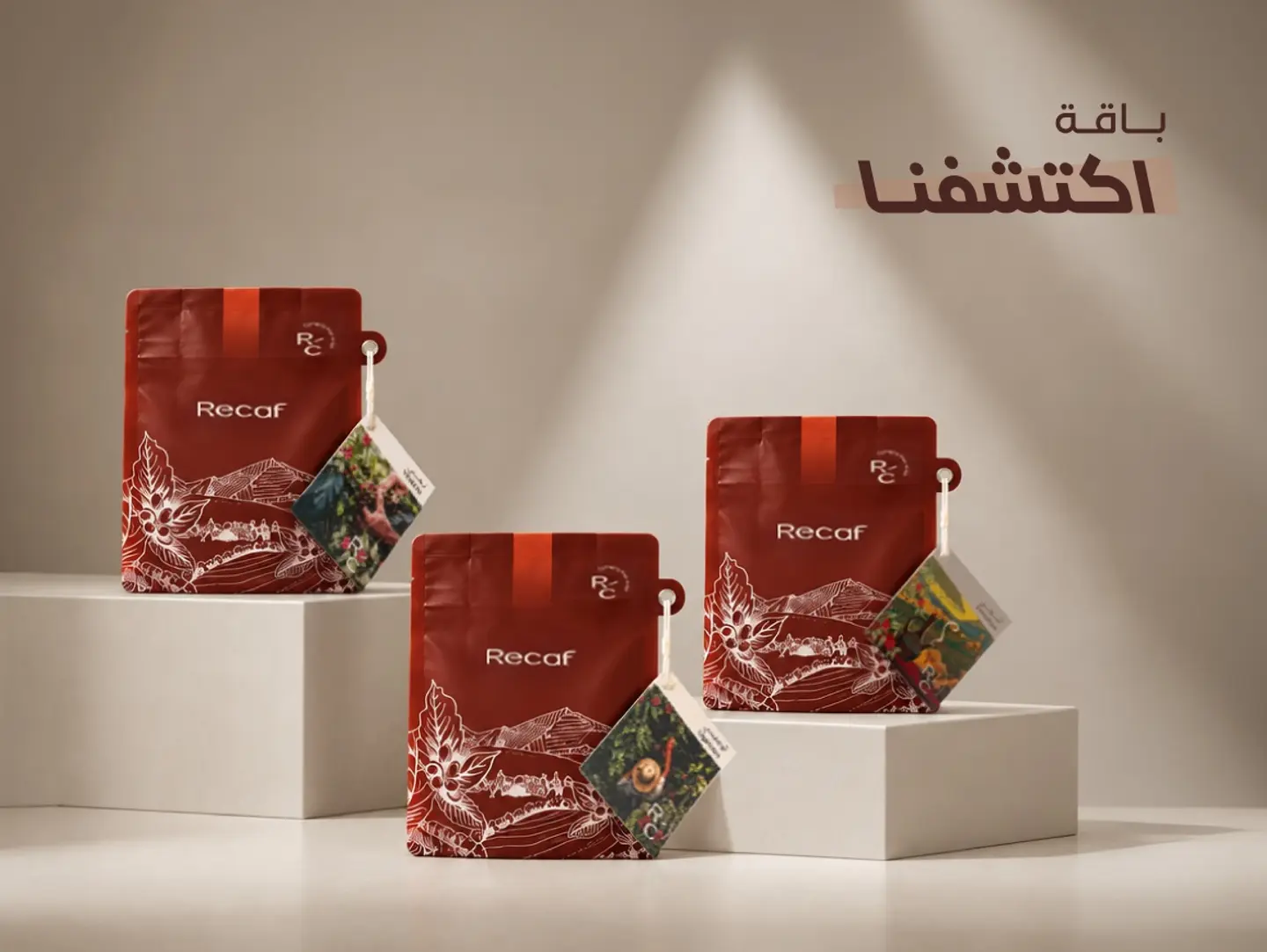 Discover Us Package